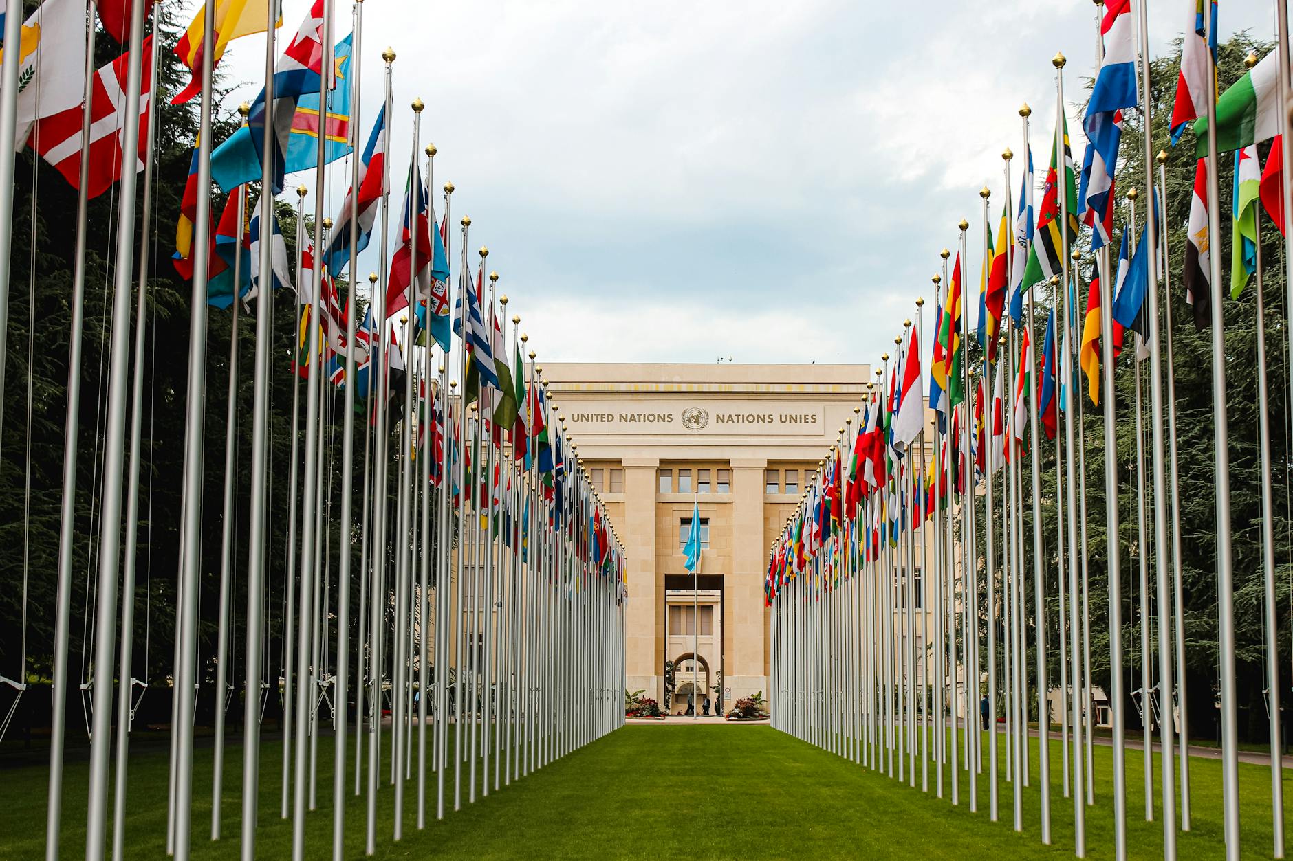 flag of different countries un members